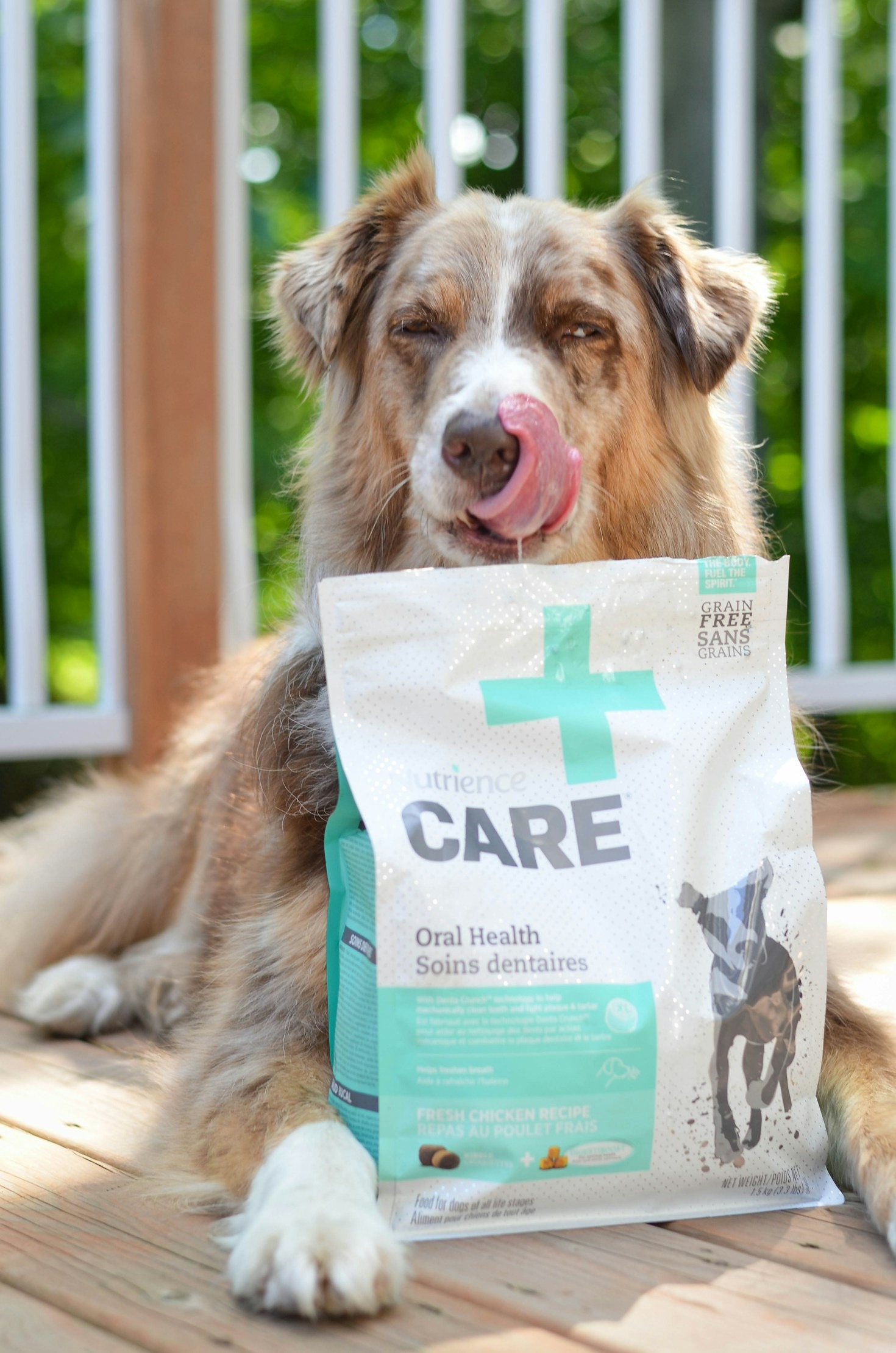 Najlepsze rozwiązania dla zdrowia Twojego zwierzaka